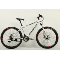 Vélo de montagne vente chaude (FP-MTB-A053)